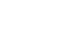 Your Horse Logo