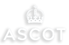 logo_alt