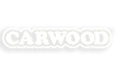 logo_alt
