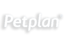logo_alt
